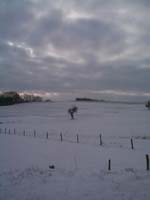Snowy Field 5 Jan 03